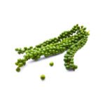 Green Peppercorn